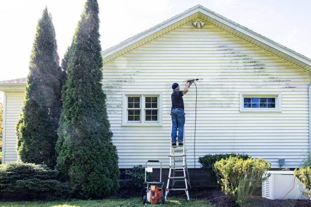 Best Roof Pressure Washing  in Dumas, TX